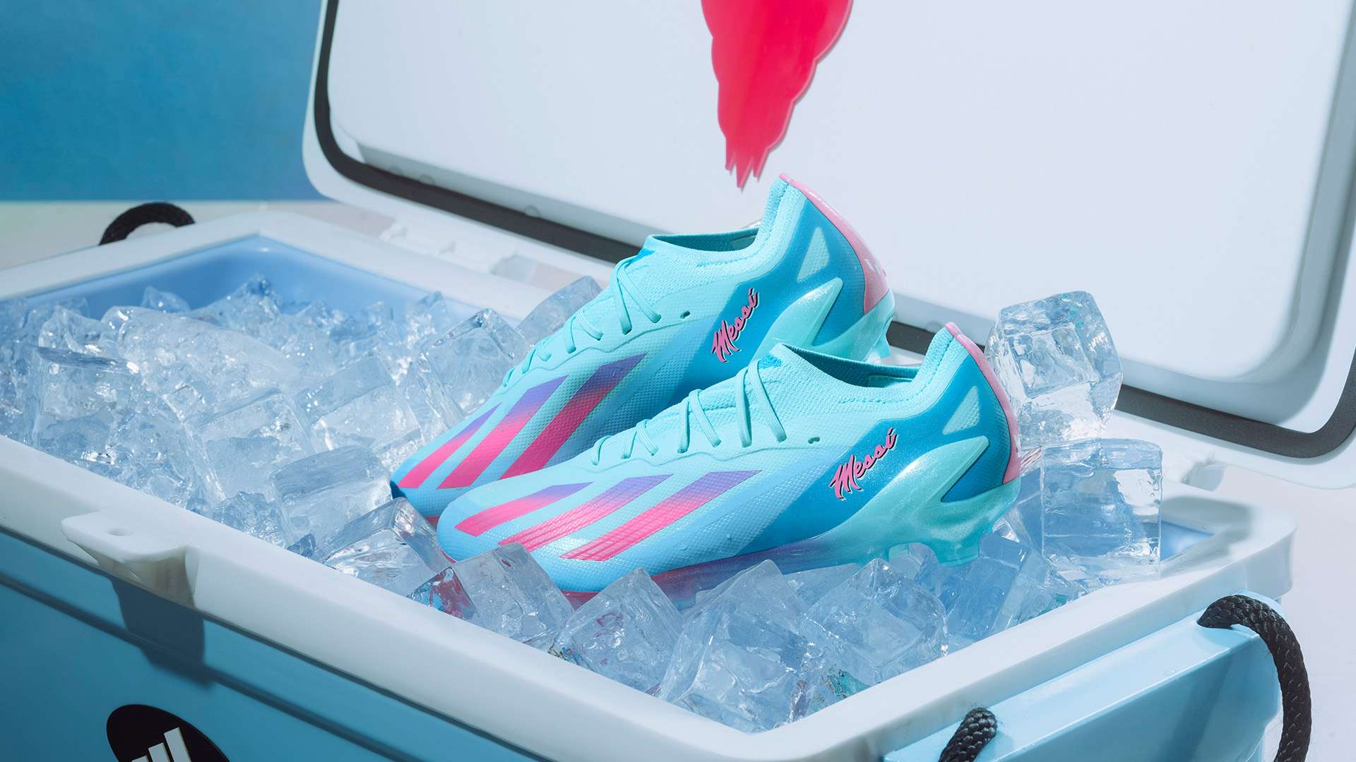 年世界杯的 年世界杯的