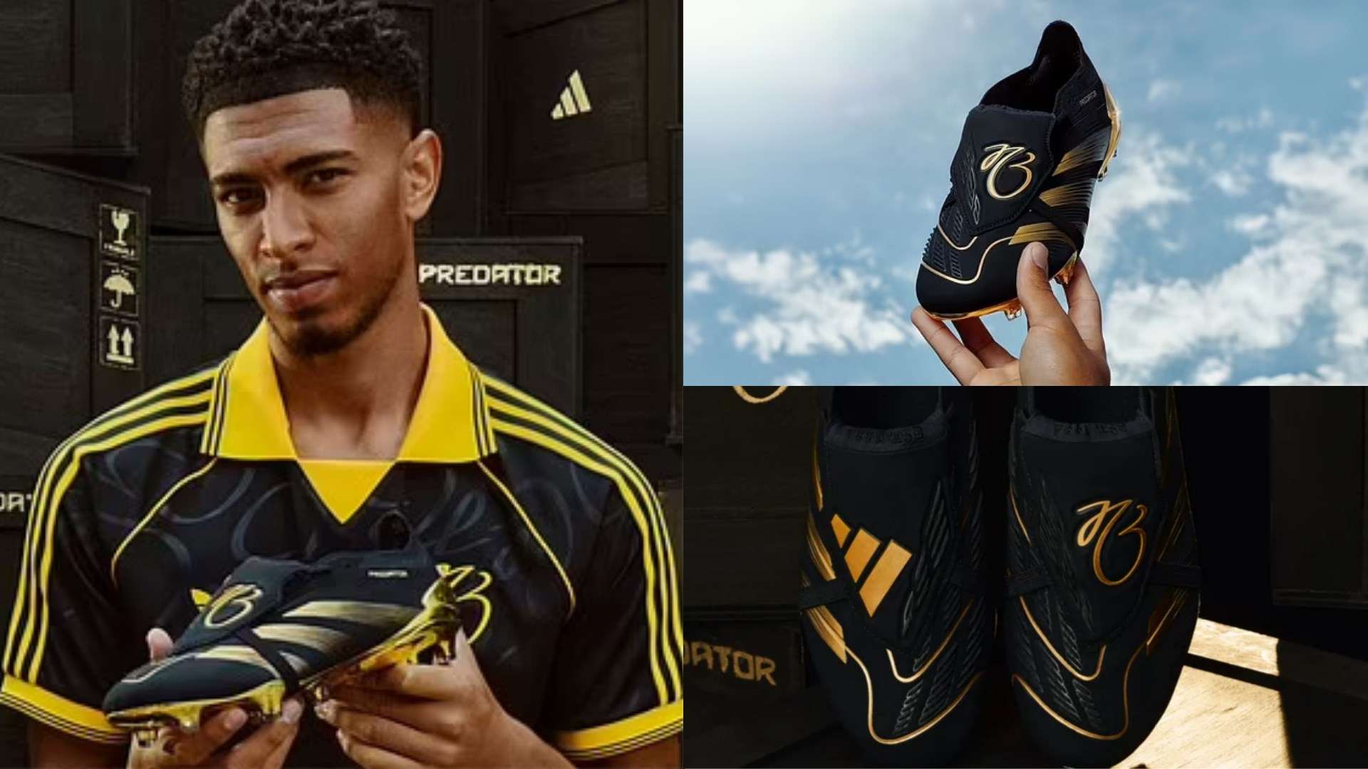 澳大利亚队 澳大利亚队